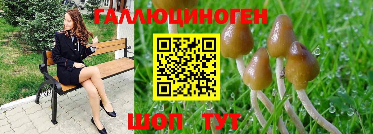 Галлюциногенные грибы ЛСД Фурманов